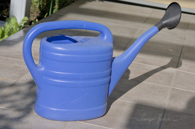 blaue giesskanne